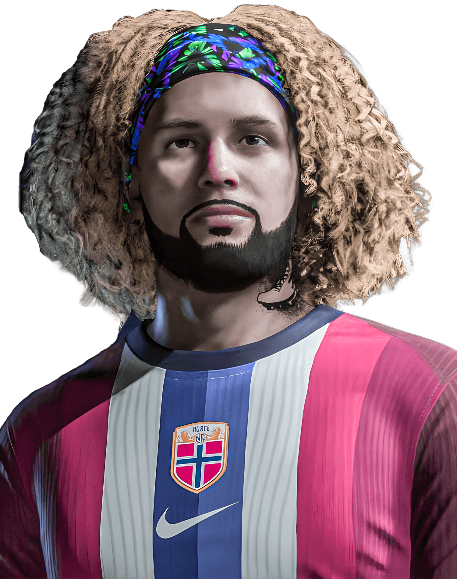 TolonucciFDM