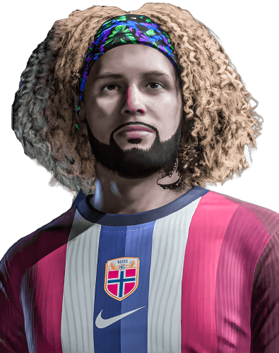 TolonucciFDM