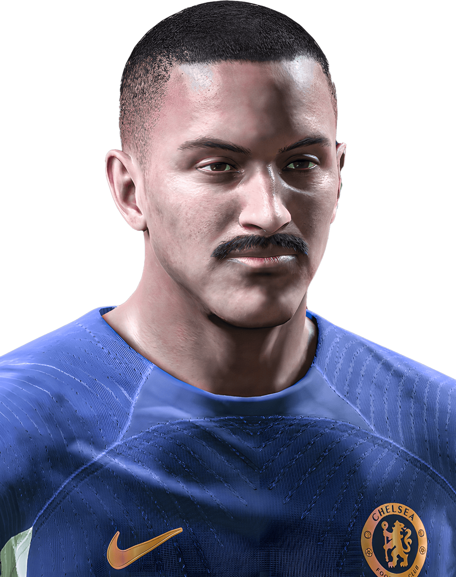 iBs Terry 4