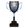 Copa de la liga FVPAA