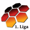 1. FVPA Bundesliga X1