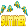 Summer League Playoff
