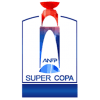 Copa de Verano Chile 2018
