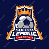 Liga VPN