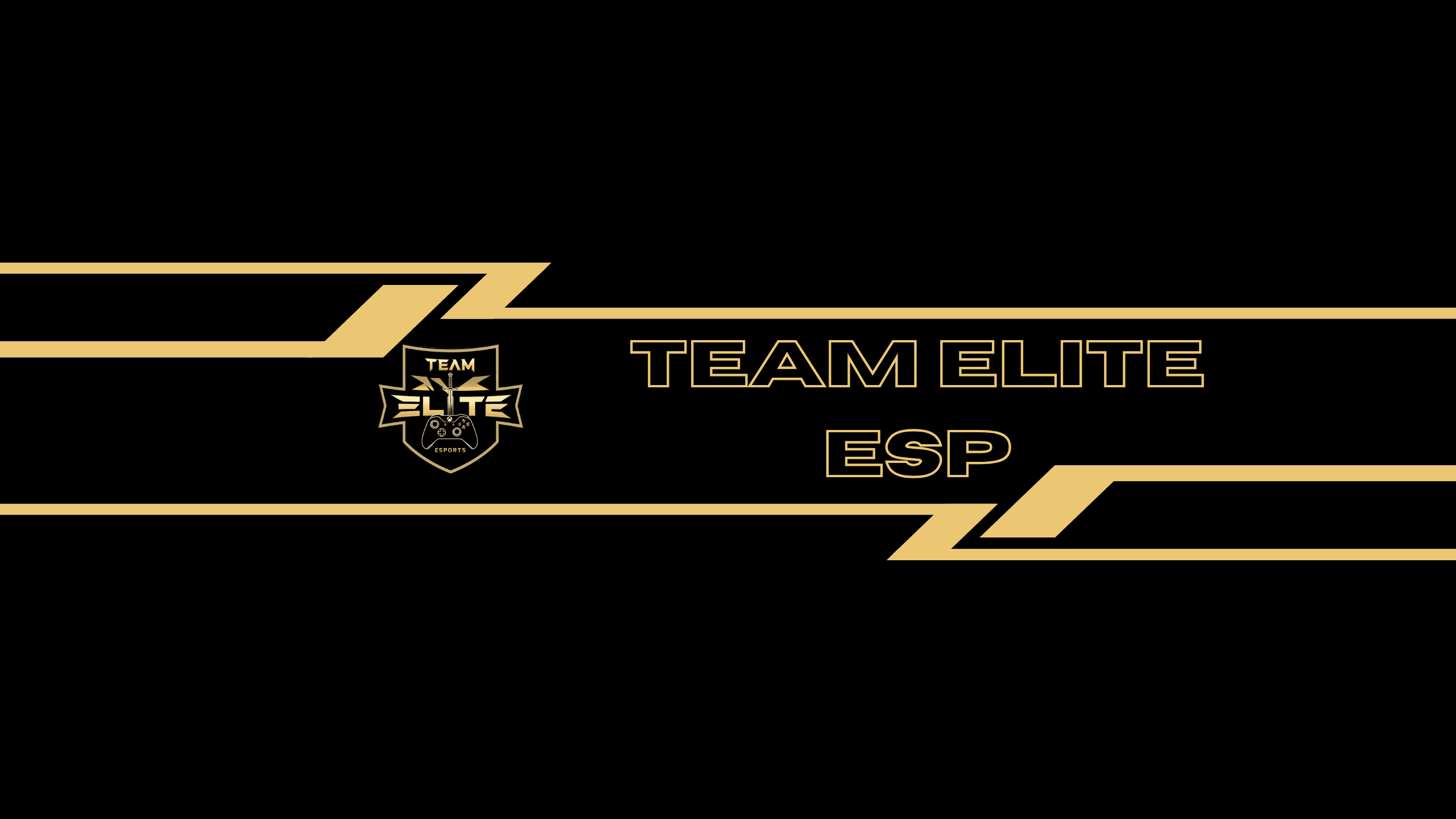 Team Elite eS cover