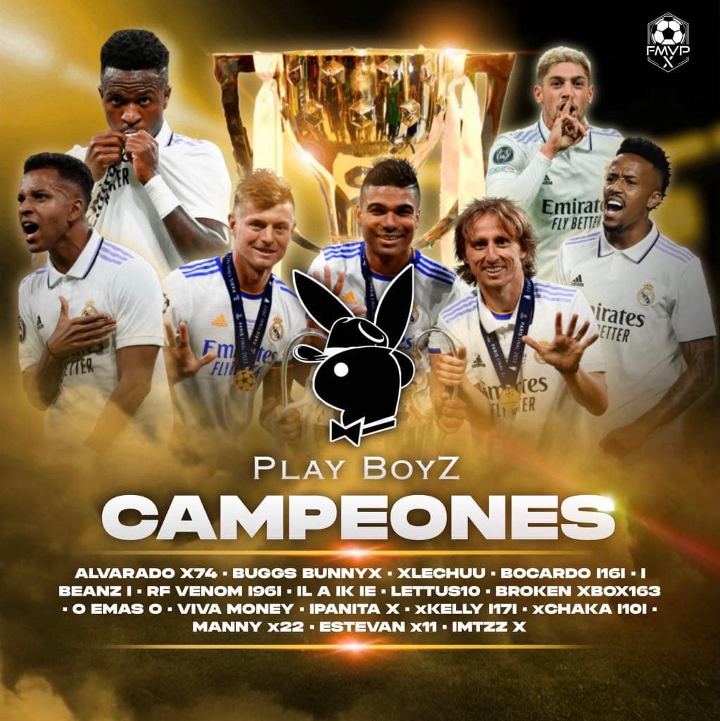 Play Boys cover