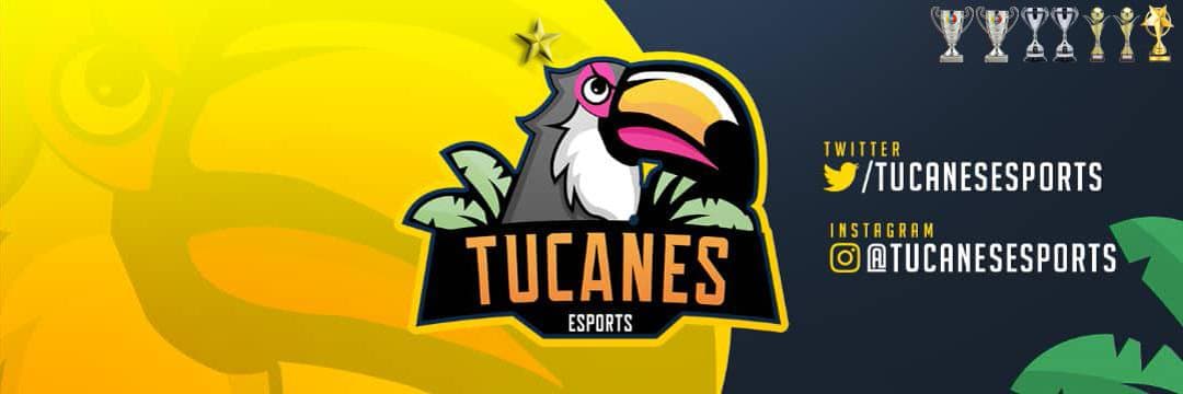 FVVP TUCANES ESPORTS cover