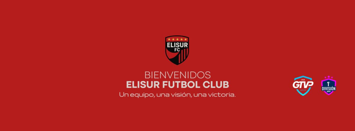 Elisur FC cover