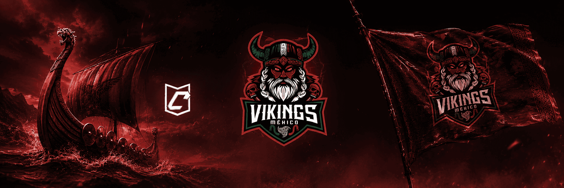 Vikings Mx cover