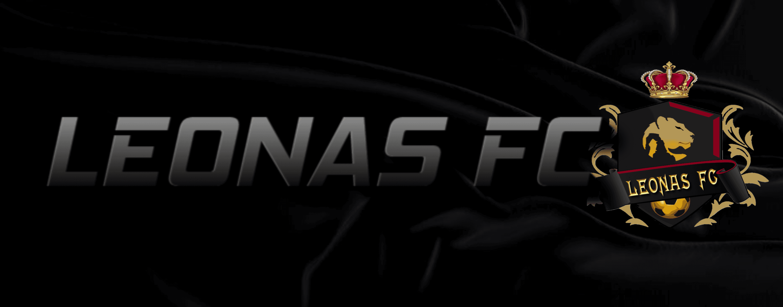 Leonas  FC cover