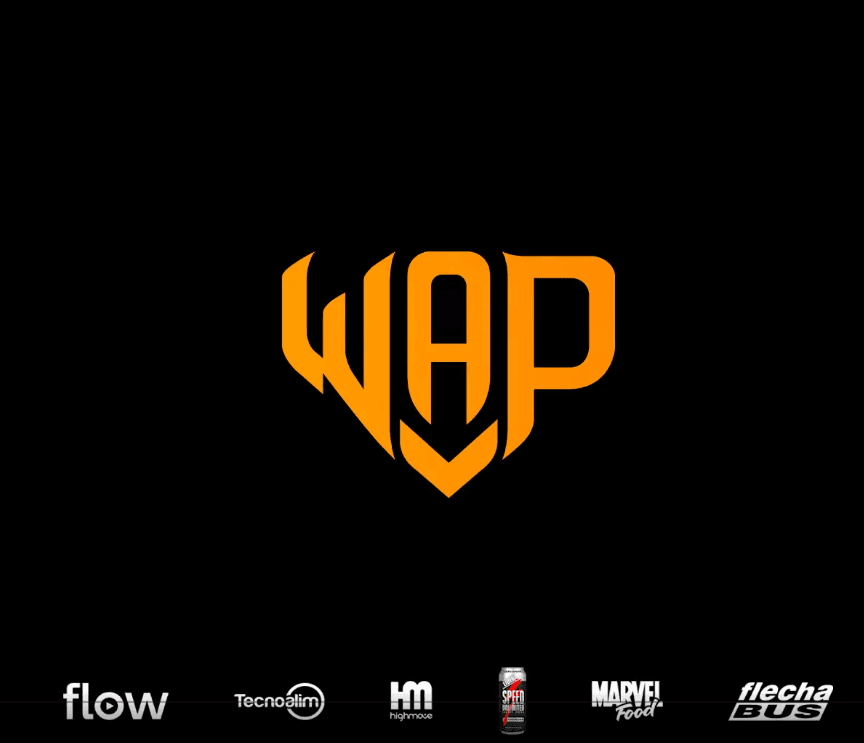 WAP Esports cover