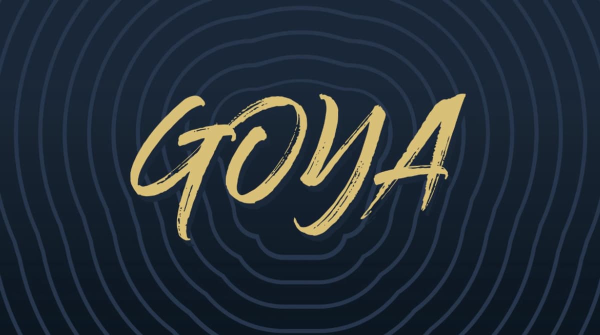 VPN Pumas cover