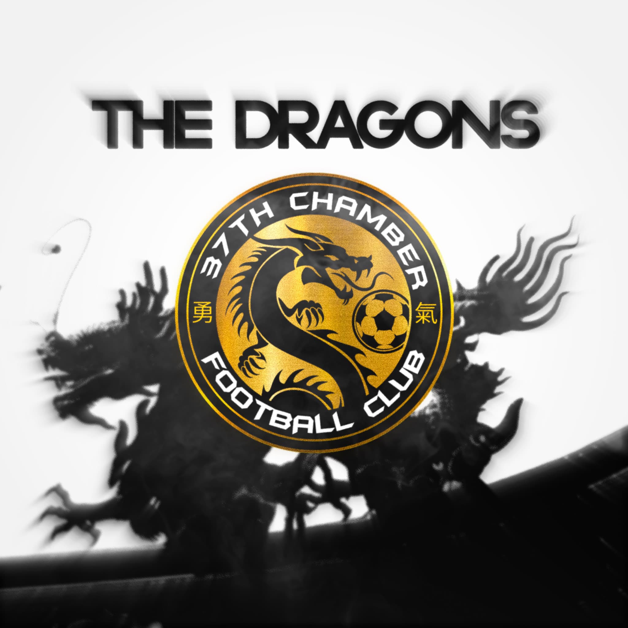 37th Chamber cover