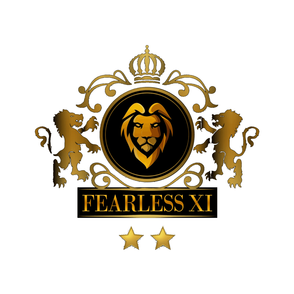 LSVP FEARLESS XI  cover
