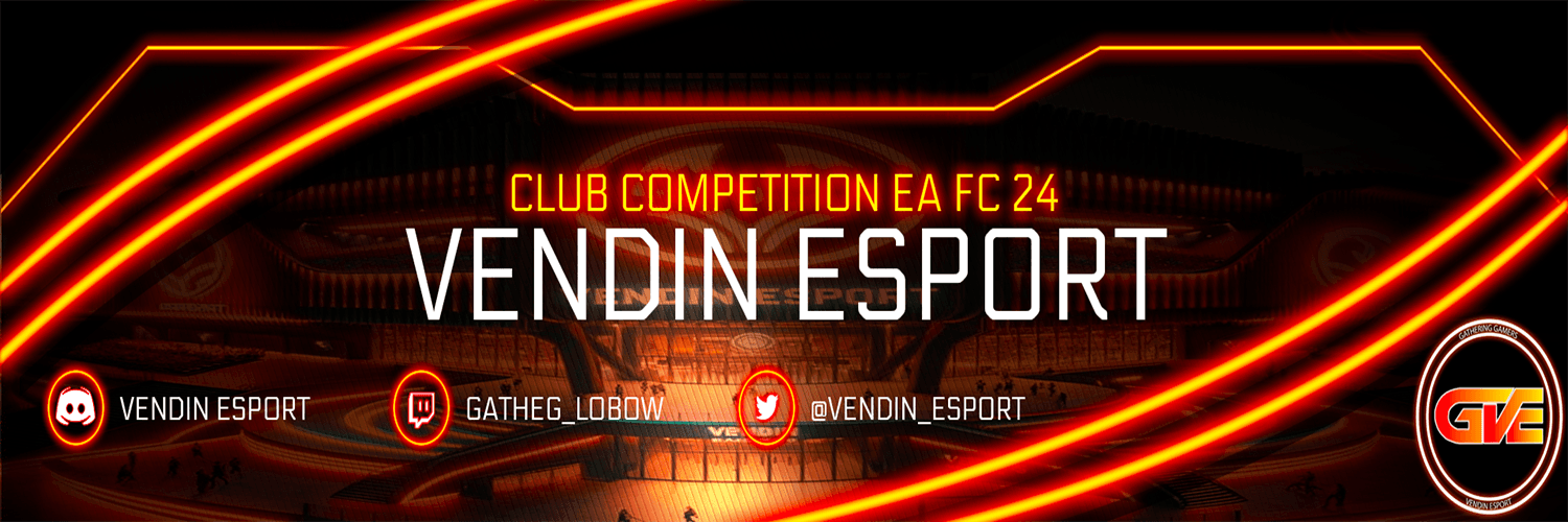 Vendin eSports cover