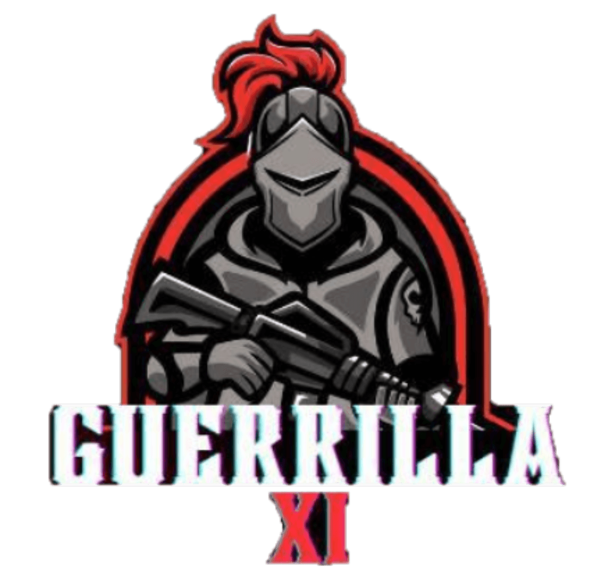 LSVP Guerrilla XI cover