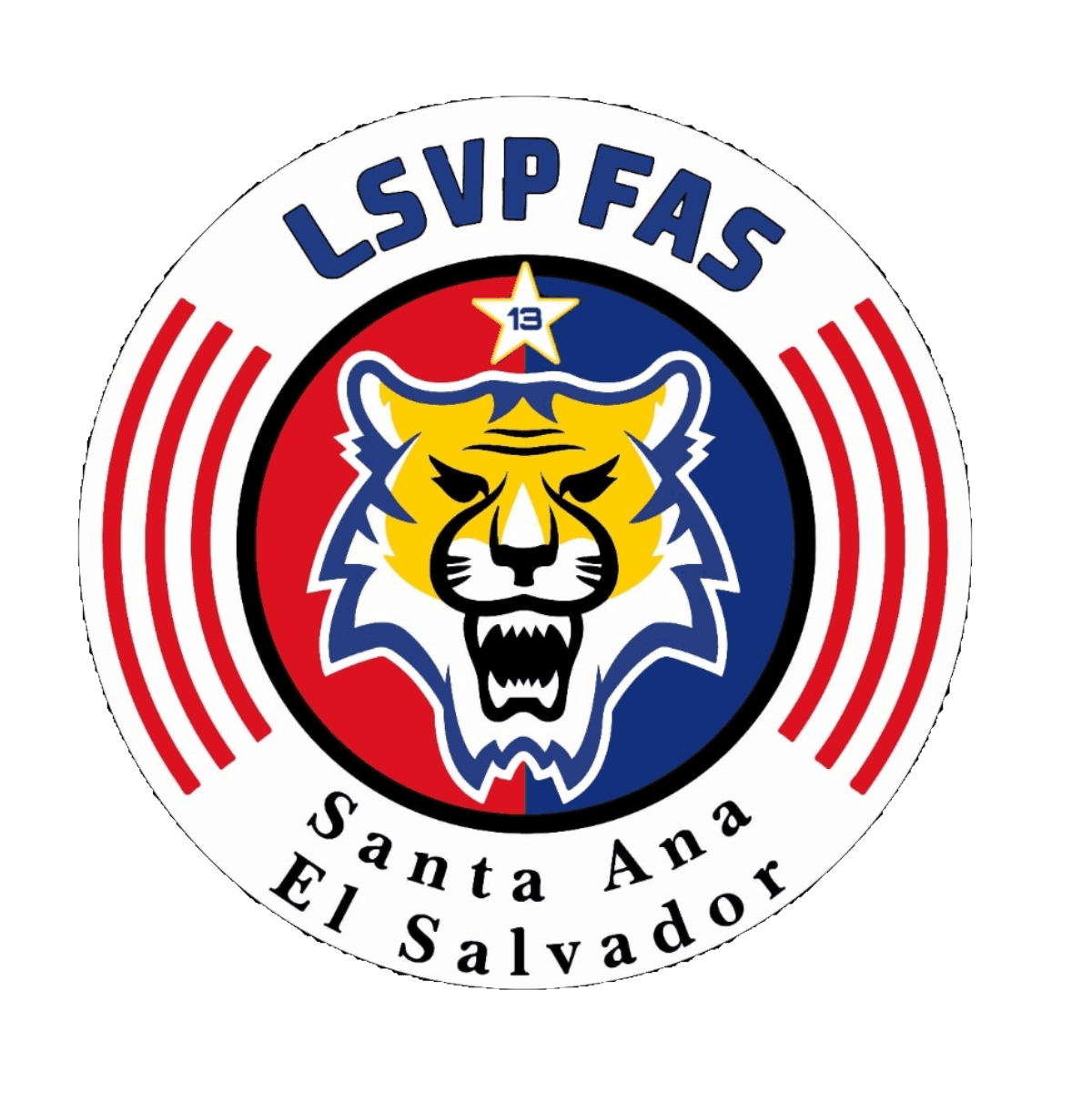 LSVP FAS cover