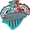 ImmenseFootball logo
