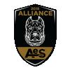 Alliance eSport logo