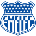 VPN Emelec logo