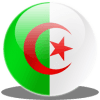 DZ TEAM logo