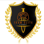 Team Elite x logo