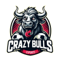 Crazy Bulls Fc  logo