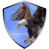 MAJESTIC POWERS (sciolto) logo