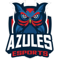aaaaa logo