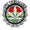 Fc TeHaCe logo