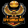 CFV Ginga  507 logo