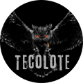 TecoloteFC  logo