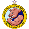 LSVP MUNICIPAL LIMENO  logo