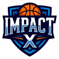 Impact  x logo