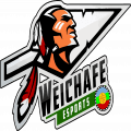 WEICHAFE ESPORTS logo