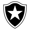 VPN  Botafogo logo
