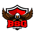 BSG eSp logo