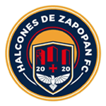 VPN Halcones logo