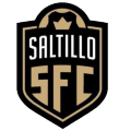 VPN Saltillo FC logo