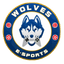 Wolves E-SPORTS