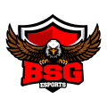 BSG eSports logo