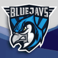 BLUEJAYS logo