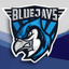 BLUEJAYS