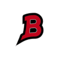 Big Ligas logo