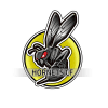 Hornets CF logo