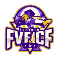 FVF CF NG logo