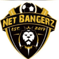 Netbangerz VPN USA logo