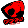 GASPARIN ESPORTS  logo