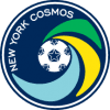 VPN NY Cosmos logo