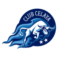 VPN Celaya logo